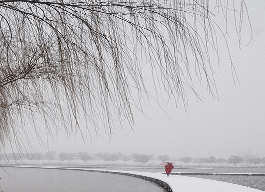 暨阳雪韵（张惠芬 摄）.jpg